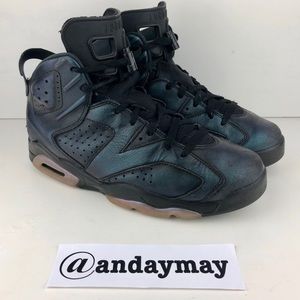 Nike Air Jordan 6 All Star Chameleon